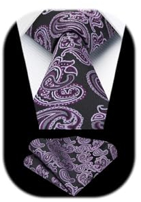 HISDERN Paisley-Krawatten FüR Herren Einfarbig Lila Krawatte Und Einstecktuch Formale Krawatten-Sets FüR Unternehmen