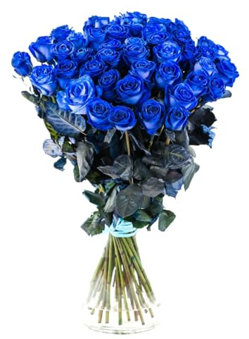 Ramo de Rosas Azules DECOALIVE Bouquet de 25 Flores Azules Frescas y Naturales