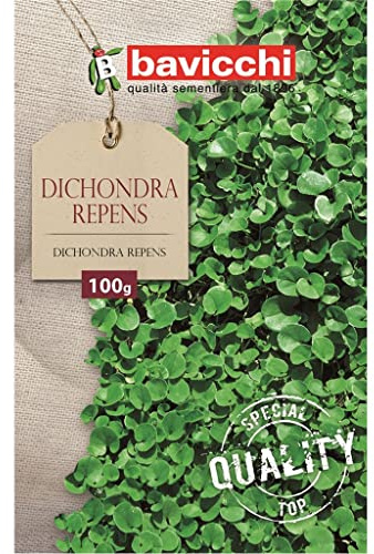 Bavicchi semi prato dichondra repens (100g)