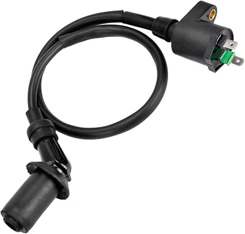 Yerleomit Motorrad Zündspule Roller Zündspule für GY6 50CC 125CC 150CC Motorrad Zündkerzenstecker Motor Moped Dirt Bike Go Kart