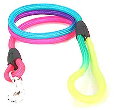 AMOYER Regenbogen-Haustier-hundenylonleine Verstellbare Schleife Beleg Führstrick