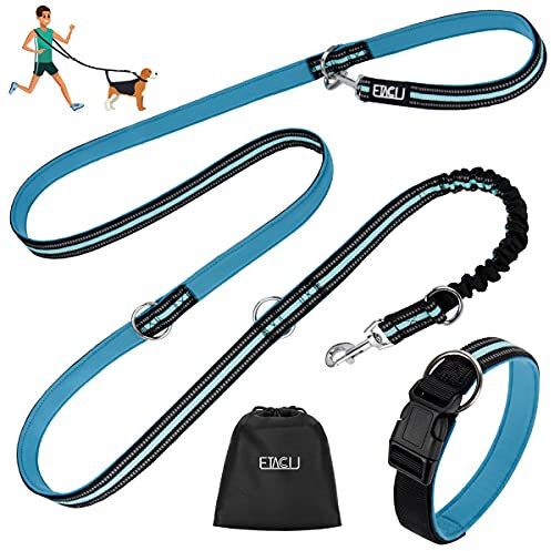 ETACCU Doppelte Leinen Freihandleinen Übungsleinen mit Rollleinen 3M für mittlere Hunde bis 50 Kg, Große Hunde Robuste Rutschfester Griff, Ohne Verwicklung, Reflektierende - Blau