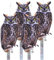 Kungfu Mall Hibou pour éloigner les oiseaux, 4 faux hiboux pour éloigner les oiseaux, grille imprimée des deux côtés, faux faucon pour éloigner les oiseaux des fenêtres de jardin et de terrasse