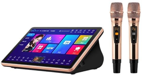 BDJSN Sistema De Karaoke Portátil, Máquina De Karaoke con Pantalla Táctil De 18,5 Pulgadas con Micrófono Inalámbrico, Función De Amplificador De Potencia, Disco Duro 6T Incorporado, Soporte 4K