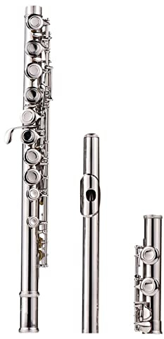 Zengxue Querflöte Anfänger Flöte Vernickelt 16 Löcher C Key Cupronickel Woodwind Instrumenthandschuhe Mini Gepolsterte Tasche