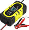 Anluomania Cargador de Batería 12V 10A, Cargador Baterias Coche Inteligente Completamente Automático, con Pantalla LCD y Múltiples Protecciones, Función de Reparación Automática