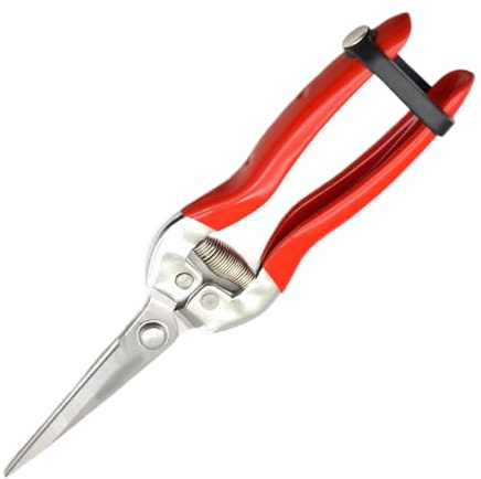 Acunny Sécateur de jardin - Ciseaux de jardin en acier inoxydable - Outil de - Pour, vignes, agrumes, fleurs, récolte de baies - Avec poignée antidérapante