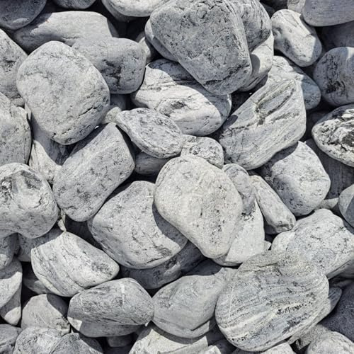 V-PREMIUM SOLUTION Dekosteine Grau 8-13 cm 5 kg - Kieselsteine Deko Garden für Teich und Gabionen - Große Steine für Blumentöpfe, Vasen, Terrarium und Aquarium - Schöne Gartendeko Natur