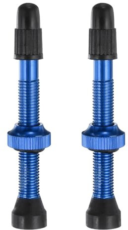 QUARKZMAN 2 Stück Tubeless Ventile 48mm Aluminiumlegierung Tubeless Ventil Super Leicht Kein Leck Dauerhaft Ventilkappen für die meisten Fahrrad Tubeless Felgen Paar, Blau