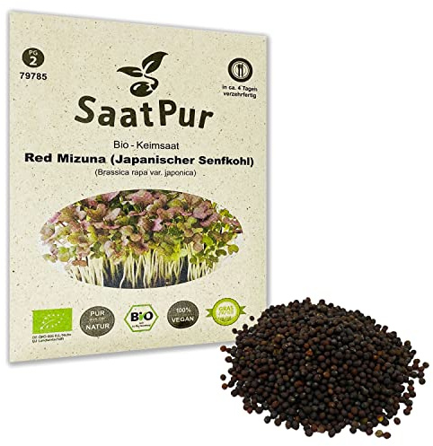 Red Mizuna BIO Keimsprossen von SaatPur - Japanischer Senfkohl Sprossen Microgreens - 30g rote Kresse
