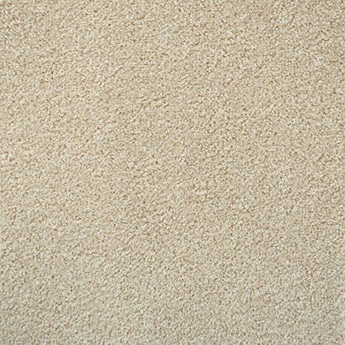 247Floors Flecked Twist Pile Carpet Roll, Hardwearing Felt Backing (3m x 4m, Cream)