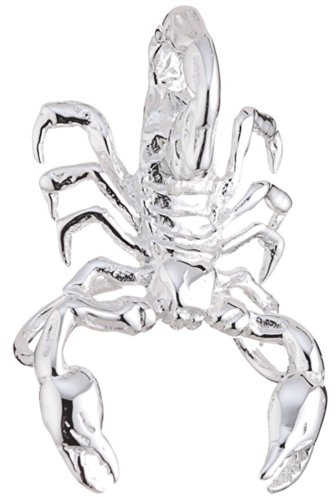 Vinani Skorpion Anhänger Damen & Herren 925 Sterling Silber ASC-EZ | Skorpion Anhänger aus 925 Sterling Silber, 3D-Design, glänzend, nickelfrei, passend für Ketten bis 3,5 mm.