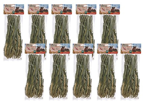 Dehner Best Nature Nagersnack, Knabberhalme 100 % natürlich, für Zwergkaninchen / Nager, Weizen, 10 x 75 g (750 g)