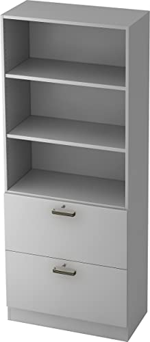Bümö® Office Hängeregistratur-Regal Schrank abschließbar aus Holz | Kombination Hängeregister-/Regalschrank inkl. Einlegeböden | Büroschrank – Büro Schrankwand System (Hängeregistratur-Kombi, Grau)