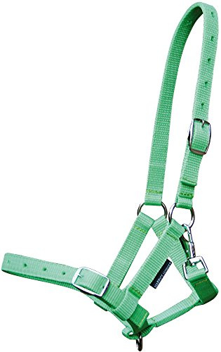 Harry 's Horse 31000300 – 07 Potro – Cabestro, Cal