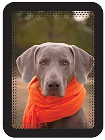 TARIFOLD 948938 Set mit 2 Bilderrahmen, Magnetrücken, Quittungsblöck