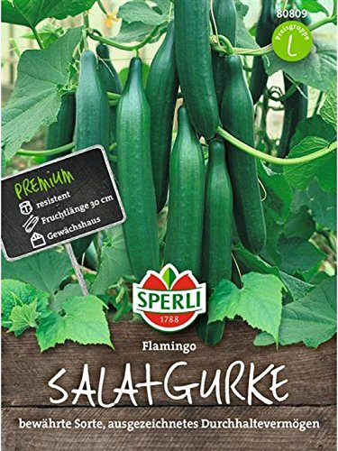 Sperli - Saatgut