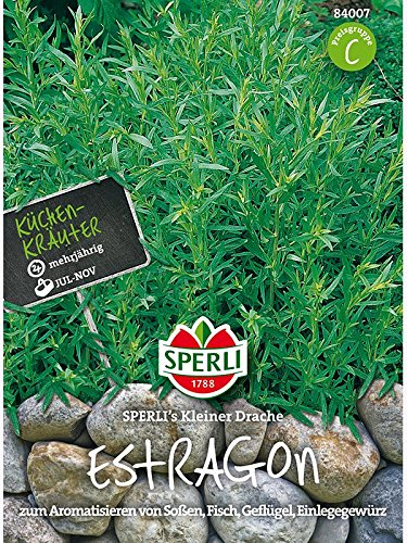 Sperli Gemüsesamen Estragon Kleiner Drache, grün