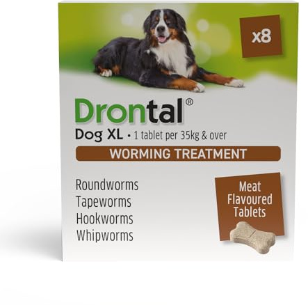 Bayer Drontal Plus Flavour Round and Tapewormer Pack of 8 Tablets - XL Dogs (35kg)