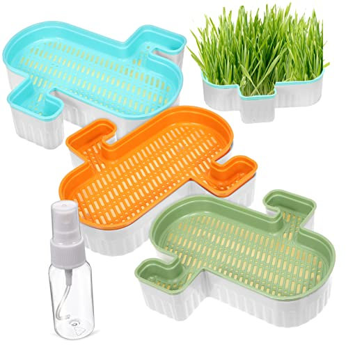 Hemobllo 3 Piezas Caja De Hierba De Gato Hidropónica Rociar Agua Departamento Plantas para Gato Soilless Cat Grass Contenedor De Hierba De Gato Planta De Hierba De Gato El Plastico