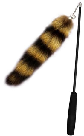 Gadpiparty Teleskop katzenangel mit Langlebigem Federspielzeug Interaktiver Katzen Teaser für Aktive Kätzchen Verstellbar Fördert Bewegung und Bindung zwischen Haustier und Besitzer