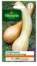 VILMORIN COURGE DE NICE A FRUIT LONG