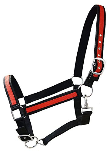 German Riding Kaltbluthalfter Big Boy schwarz-rot