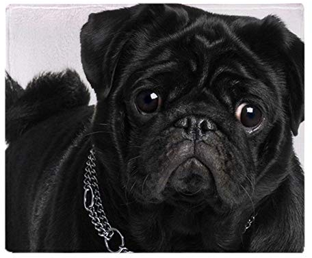 YISUMEI Black Pug Blanket, Cuddly Blankets, Soft Flannel Fleece Blanket, Bed Throw (150 x 200 cm)