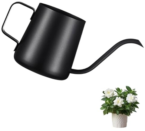 RONMOSNEA 350ML Schwarz Gießkanne Klein Zimmerpflanzen, Edelstahl Mini Gießkanne Mit Langer Auslauf für Zimmerpflanzen Sukkulenten