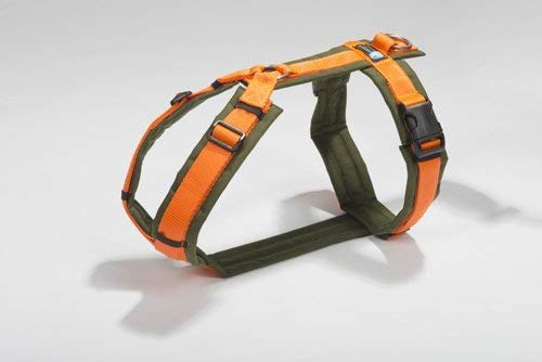 Geschirr orange Gr. M