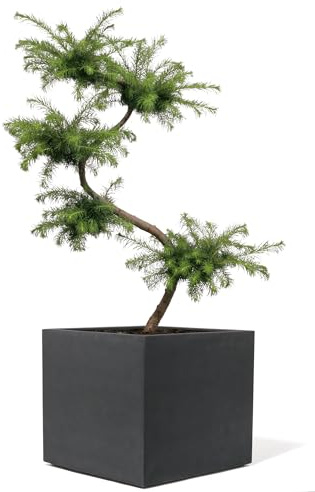 Casa Kirschke Pflanzkübel groß außen - Fiberglas Blumenkübel quadratisch 44x44x44cm - Premium Blumenkasten für Draußen - Blumenkübel Frostsicher - Blumenkasten für den Garten Anthrazit - Bradford