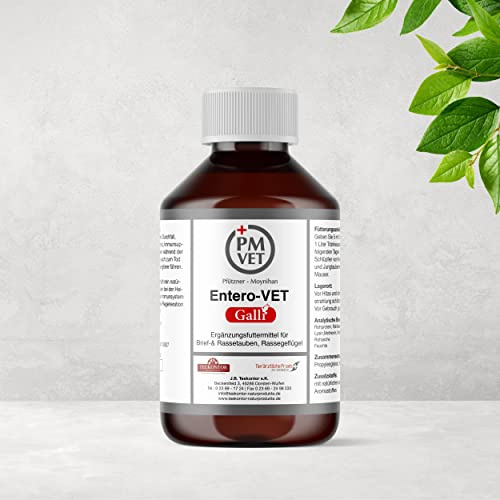Entero-VET Galli 250 ml – Für Tauben, Hühner und andere Vogelarten – Senkt den Kokzidiendruck - Natürliche Unterstützung der Darmflora – Enthält ätherische Stoffe und natürliche Öle