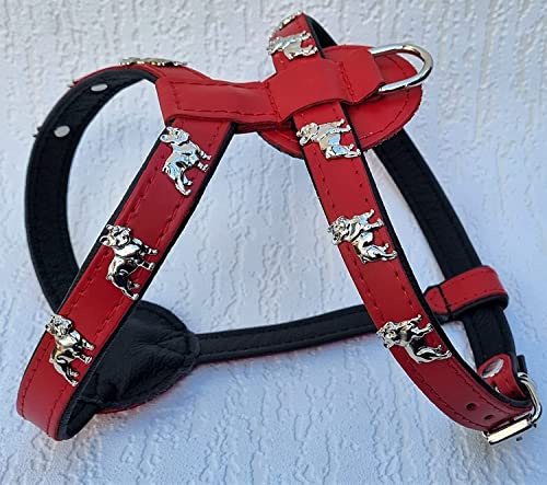 Bully Französische Bulldogge French Bulldog Frenchie Geschirr Brustgeschirr Echt Leder - 3 Verschiedene Größen ROT - Schwarz (3. Brustkrob 61-68cm/72cm)