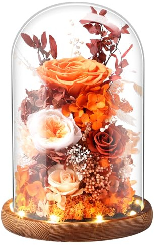 Laladeyek Eternal Rose Sunset Orange Flower Preserved Long Lasting Stable Color Natural Material Symbol of Everlasting Love for Wife Mothers Select Anniversary Rose
