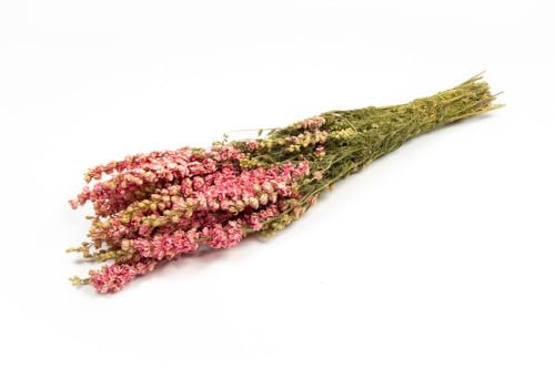 INNA-Glas Rittersporn Trockenstrauß AITHANA, rosa-Creme, 70cm, Ø18cm - Getrockneter Strauß