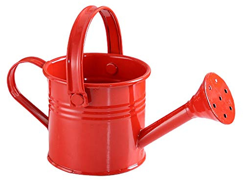 ZHDOKA Mini Regadera de Estaño, Ducha de Jardín con Asa, Regadera Moderna Pequeña Portátil para Suculentas Bonsai Flor de Jardín(#5)