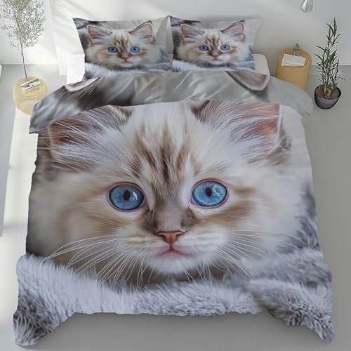 Kntnshac Tierdruck Ragdoll-Katze Bettwäsche 220x240, Süßer Haustier Katze Microfaser Bettbezug, Tierliebhaber Wendebettwäsche mit Reißverschluss，Enthält 1 Bettbezug und 2 Kissenbezug 80x80 cm