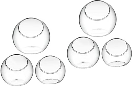 CIYODO 6 Stück Glas-Terrarium-Pflanzschalen für Schreibtischbehälter für Luftpflanzen und Miniatur-Displays