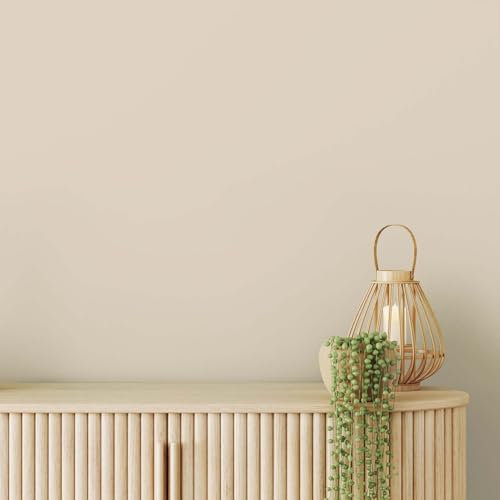 K&L Wall Art Pintura de pared mate para interiores, color beige, protección de pared moderna, 5 litros