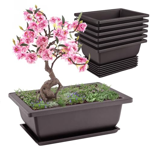 Forhandy 6 Stück Bonsai Schale, Wiederverwendbar Bonsai Topf mit Tabletts, 16.5x12x6cm Bonsaischale für Gärten Terrasse Innenhöfe Büros Wohnzimmer Balkone