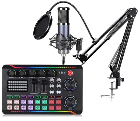 VlHpnpe Set di schede audio professionali per microfono a condensatore, con porta di tipo C, suono chiaro per podcasting, broadcasting, microfono a condensatore