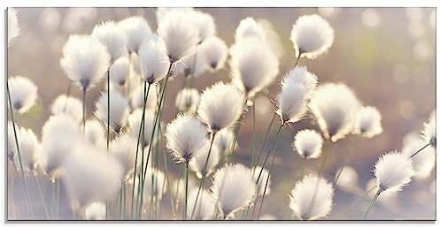ARTland Wanddeko Glasbilder Wandbild Glas Bild einteilig 100 x 50 cm Natur Zauber Idyll Frühling Moor Pflanzen Gräser Blumen Wollgras T2BZ