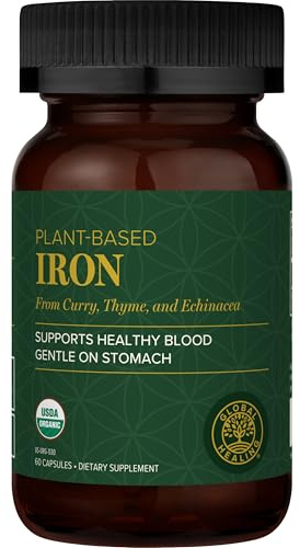 Global Healing Center Iron Supplement for Women and Men - Blood Builder Liquid Iron Vitamin with Curry Plant Extract - Natural Energy to Combat Fatigue, Brain Health & Oxygen Level Support (2 Oz)