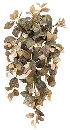 Red Hot Plants Artificial Fittonia Trailing Plant - 75cm long Fake Hanging House Plant (Green/Pink/Brown)