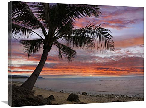 24 x 32 in. Coconut Palm at Sunset Near Dimiao, Bohol Island, Philippines Art Print - Tim Fitzharris