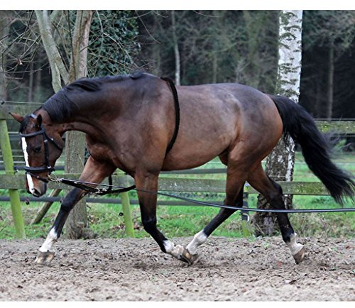 Horka longierhilfe mit Ring Leder/Baumwolle schwarzes Pony