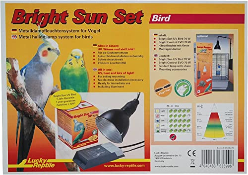 Lucky Reptile Bright Sun Set Bird