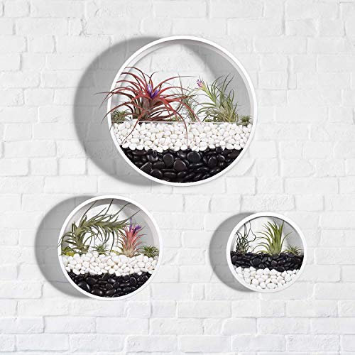 Juego de 3 macetas colgantes de pared de metal blanco para suculentas, cactus, plantas arañas, plantas de aire, decoración elegante del hogar para uso en interiores y exteriores