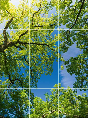 mein-zaunsichtschutz.de Motivdecken, Deckenpaneel - Baumkrone, Modern, 12x62x62cm, 4.6qm, Einlegen, Rasterdecken, Kassettendecken, OWA, Knauf, Armstrong