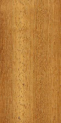 PARTERREX lames de terrasse bois EXOTIQUE IROKO. terrasse. largeur: 14,5cm / épaisseur:2,1cm / Longueur:2.15m
